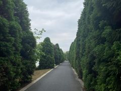 -苏州太湖国家湿地公园