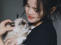 -iF摄影•全家福•证件照•形象照(南山店)