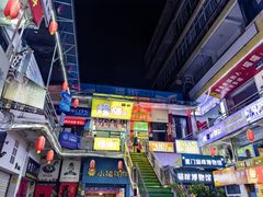 -猫咪博物馆(顶澳仔猫街店)