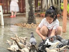 -三亚亚龙湾红树林度假酒店