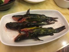-五星桥原切肥牛火锅(怀德桥店)
