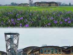 -中国天府农业博览园