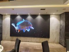 -阿五黄河大鲤鱼(纬三路店)