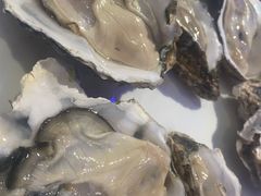 -千岛蚝高压锅生蚝·人参火锅(白云万达店)