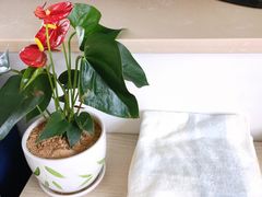 -佰推·肩颈腰·推拿理疗(湾悦城店)