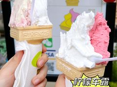 -柠檬车露(卖草地店)