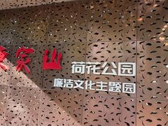 -陈家山荷花公园