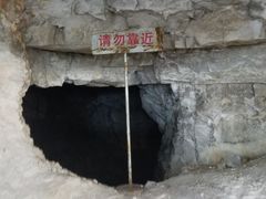 -仙蘑洞