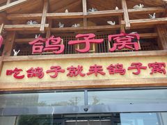 -鸽子窝(青塔店)