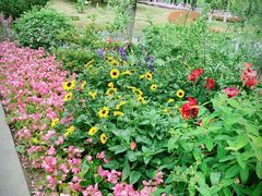 -武汉园博园(武汉自然博物馆)