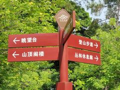 -王借岗森林公园