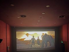 -华谊兄弟影院(IMAX洋桥店)