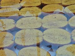 -乐兹薇尔高端烘焙店(海宁西田城店)