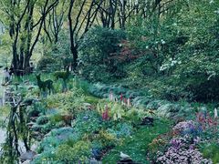 -上海共青森林公园