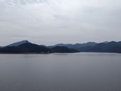 -望湖烤鱼