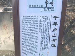 -北京鹫峰国家森林公园