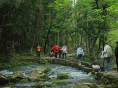 -雁荡山风景名胜区