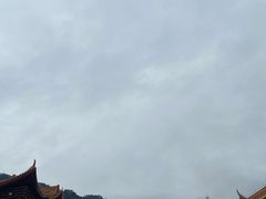 -深圳仙湖植物园