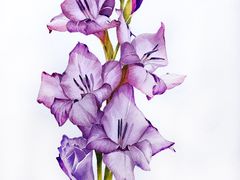-八哥美术·成人美术画室(总校区)