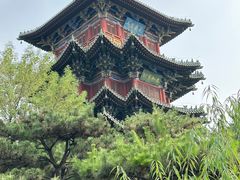 -迎泽公园