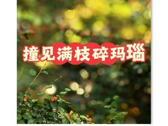 -南长河公园