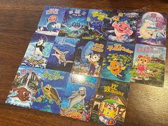 -珠海长隆海洋王国