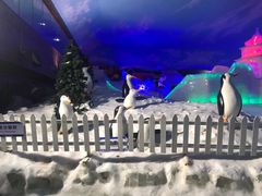 -世界之窗阿尔卑斯冰雪世界