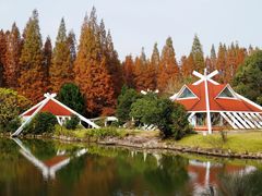 -上海海湾国家森林公园