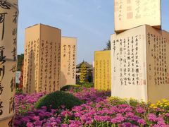 -中国翰园碑林
