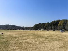 -昆山城市生态森林公园