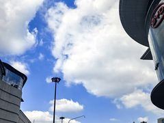 -LV路易威登(国际广场店)