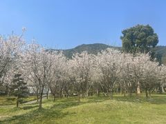 -兰亭风景区