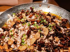 -三猫黑鱼花(南大店)
