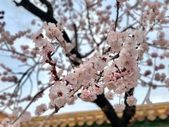 -故宫钟表馆