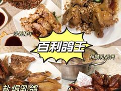 -百利鸽王(紫薇路店)