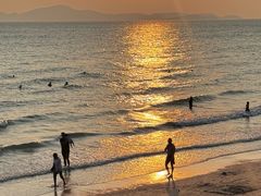 -卷心菜和避孕套餐厅(Pattaya)
