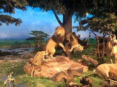 -国家自然博物馆