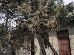 -汉长安城未央宫国家考古遗址公园