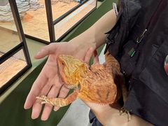 -龙湖南京江北天街