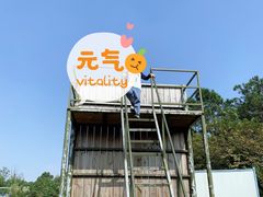 -大塘金香草谷