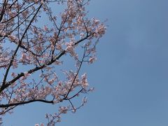 -上海辰山植物园