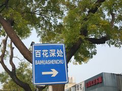 -百花深处胡同