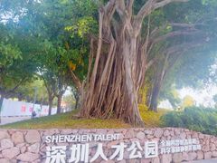 -深圳人才公园