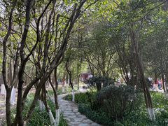 -白马涧龙池景区