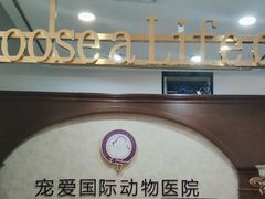 -宠爱国际动物医院· 猫科· 外科·中兽医(长白店)