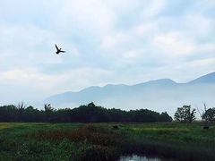 -大九湖