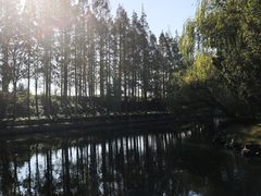 -瀛洲公园