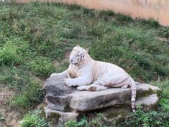 -宁波野生动物园