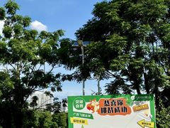 -芦仙山景区-飞越丛林探险乐园