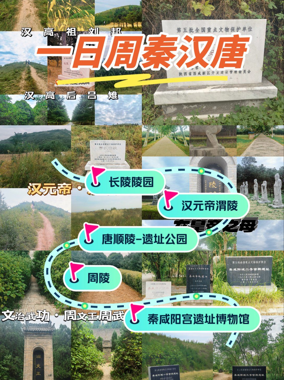 冢疙瘩儿一日游供收纳‼️不谢‼️

